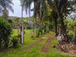 Chácara-imóvel-rural à venda no bairro Palhano 2 de Londrina com 180m<sup>2</sup> útil, 2 quartos, 1 vaga de garagem - Foto 1