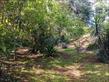 Chácara-imóvel-rural à venda no bairro Palhano 2 de Londrina com 180m<sup>2</sup> útil, 2 quartos, 1 vaga de garagem - Foto 14