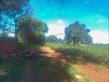 Chácara-imóvel-rural à venda no bairro Cambezinho de Londrina com 12100m<sup>2</sup> útil - Foto 3
