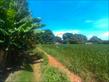 Chácara-imóvel-rural à venda no bairro Cambezinho de Londrina com 12100m<sup>2</sup> útil - Foto 5