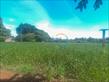 Chácara-imóvel-rural à venda no bairro Cambezinho de Londrina com 12100m<sup>2</sup> útil - Foto 9