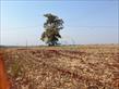 Chácara-imóvel-rural à venda no bairro Vila Atalaia de Cambe com 253927.02m<sup>2</sup> útil - Foto 3