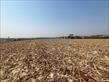 Chácara-imóvel-rural à venda no bairro Vila Atalaia de Cambe com 253927.02m<sup>2</sup> útil - Foto 6