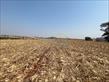 Chácara-imóvel-rural à venda no bairro Vila Atalaia de Cambe com 253927.02m<sup>2</sup> útil - Foto 9
