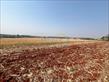 Chácara-imóvel-rural à venda no bairro Vila Atalaia de Cambe com 253927.02m<sup>2</sup> útil - Foto 12