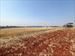 Chácara-imóvel-rural à venda no bairro Vila Atalaia de Cambe com 253927.02m<sup>2</sup> útil - Foto 13