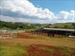 Chácara-imóvel-rural à venda no bairro Rural de Nova Tebas com 6969600m<sup>2</sup> útil - Foto 1