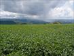 Chácara-imóvel-rural à venda no bairro Rural de Nova Tebas com 6969600m<sup>2</sup> útil - Foto 6
