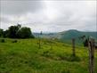 Chácara-imóvel-rural à venda no bairro Rural de Nova Tebas com 6969600m<sup>2</sup> útil - Foto 10