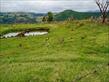 Chácara-imóvel-rural à venda no bairro Rural de Nova Tebas com 6969600m<sup>2</sup> útil - Foto 11