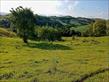 Chácara-imóvel-rural à venda no bairro Rural de Nova Tebas com 6969600m<sup>2</sup> útil - Foto 14