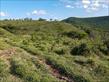 Chácara-imóvel-rural à venda no bairro Rural de Nova Tebas com 6969600m<sup>2</sup> útil - Foto 17