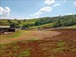Chácara-imóvel-rural à venda no bairro Rural de Nova Tebas com 6969600m<sup>2</sup> útil - Foto 23