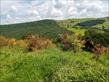Chácara-imóvel-rural à venda no bairro Rural de Nova Tebas com 6969600m<sup>2</sup> útil - Foto 32