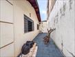 Casa Residencial à venda no bairro Pacaembu de Londrina com 138.86m<sup>2</sup> útil, 3 quartos, 2 vagas de garagem - Foto 28