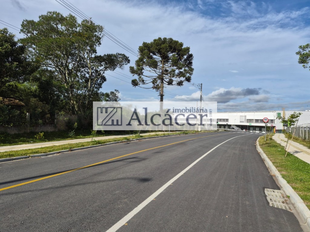 Terreno/Área à venda em Costeira, São José dos Pinhais — Portal Chave Fácil
