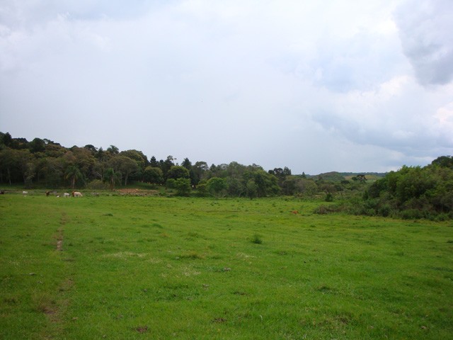 Chácara para venda no Formigueiro em Araucaria com 269.730m² por R$ 2.500.000,00