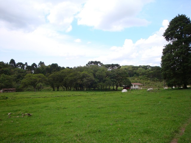 Chácara para venda no Formigueiro em Araucaria com 269.730m² por R$ 2.500.000,00
