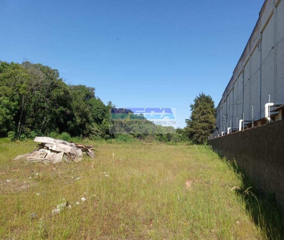 Terreno à venda em Cidade Industrial, Curitiba — Portal Chave Fácil