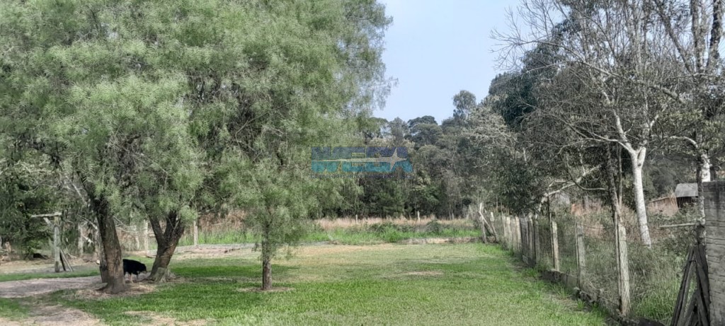 Terreno/Área à venda em Centro, Itaiópolis — Portal Chave Fácil