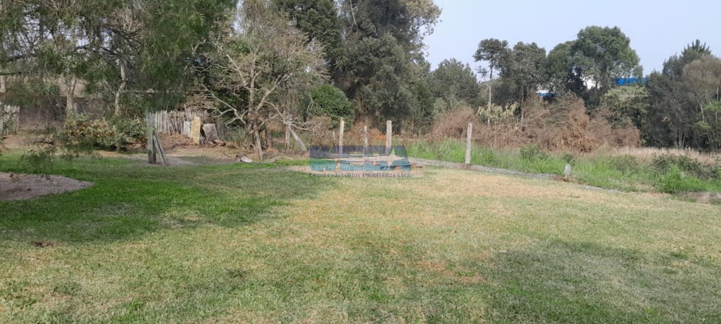 Terreno/Área à venda em Centro, Itaiópolis — Portal Chave Fácil