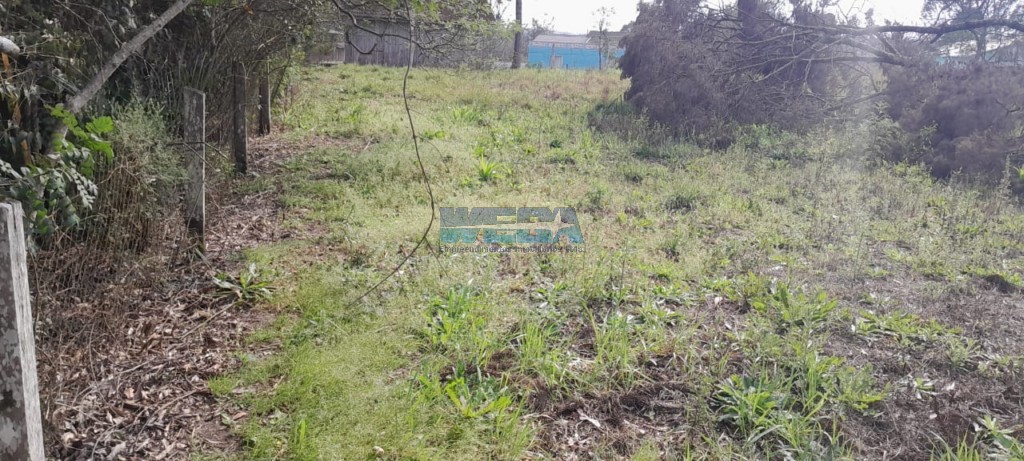 Terreno/Área à venda em Centro, Itaiópolis — Portal Chave Fácil