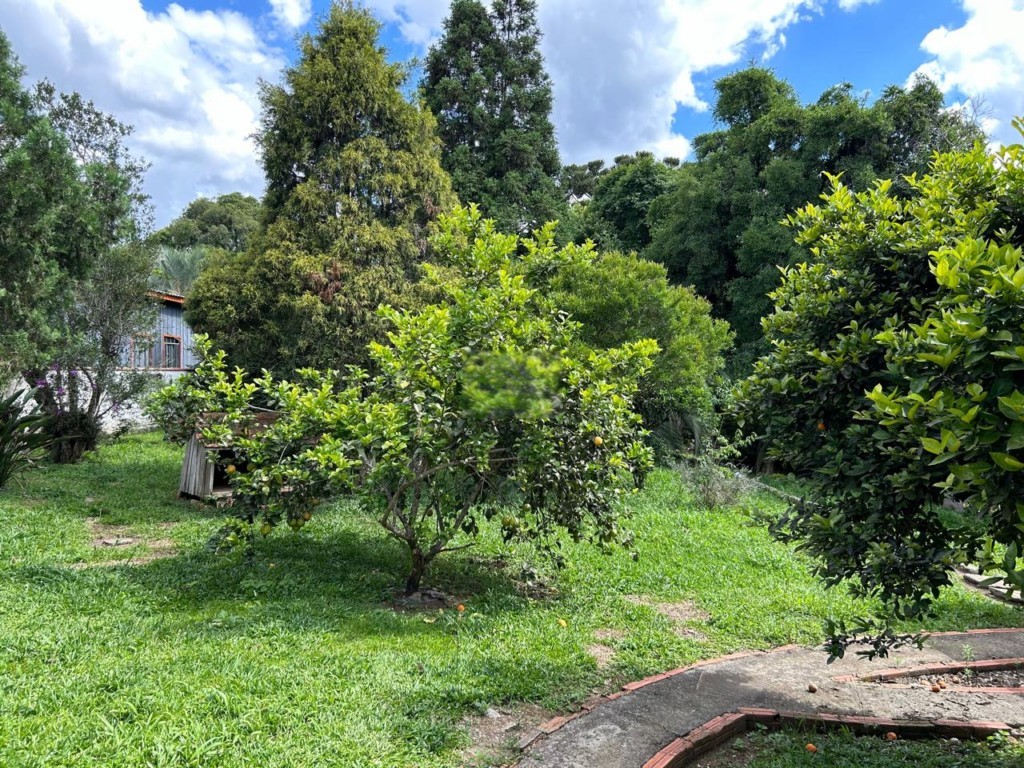 Casa Madeira para venda no Vila Parana em Rio Negro com 1.170m² por R$ 320.000,00