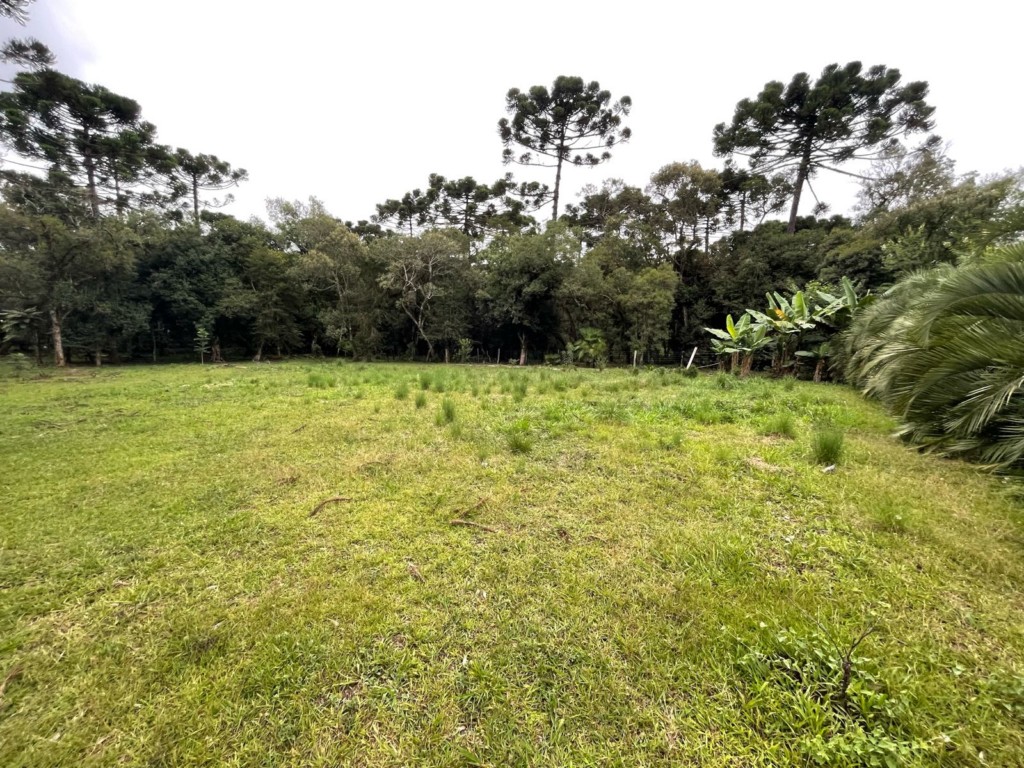Terreno para venda no Sitio dos Rauen em Rio Negro com 3.744m² por R$ 490.000,00
