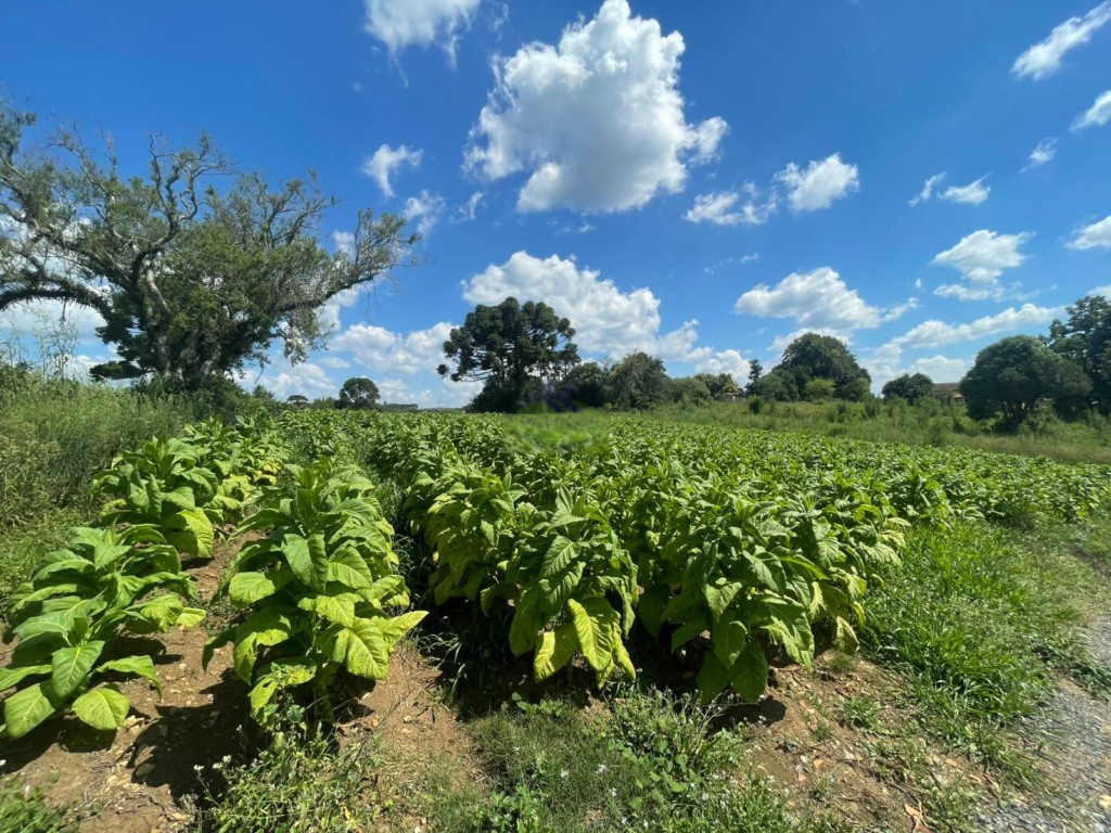 Terreno para venda no Imbuial em Mafra com 360m² por R$ 82.000,00