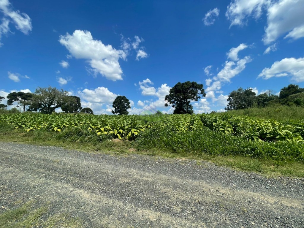 Terreno para venda no Imbuial em Mafra com 360m² por R$ 82.000,00