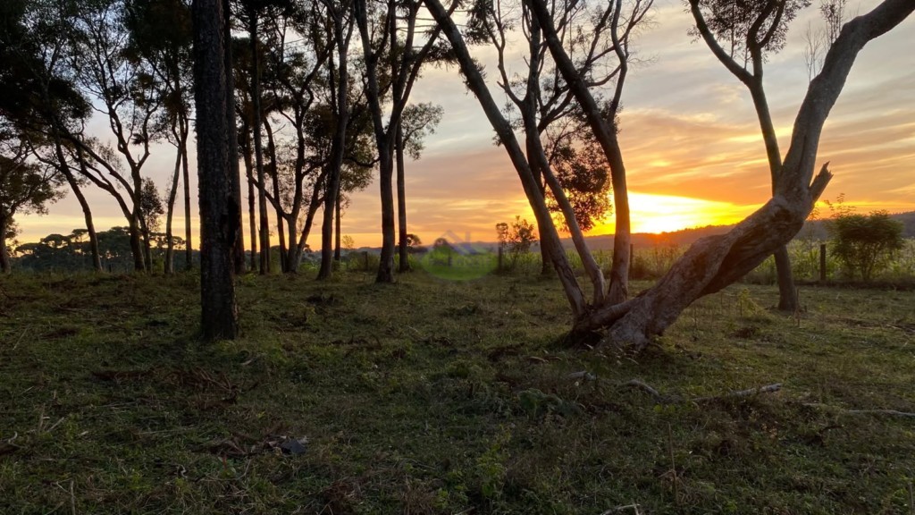 Terreno Rural para venda no Seminario em Rio Negro com 40.000m² por R$ 630.000,00