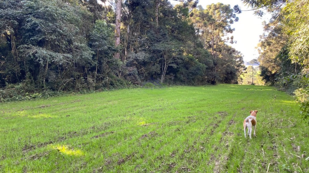 Terreno Rural para venda no Sitio dos Hirt em Rio Negro com 43.000m² por R$ 405.000,00