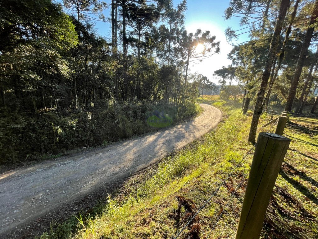 Terreno Rural para venda no Seminario em Rio Negro com 20.000m² por R$ 350.000,00