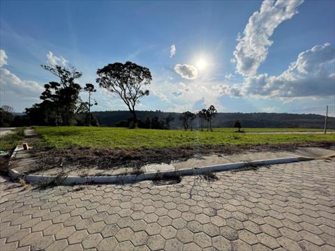 Terreno para venda no Passa Tres em Rio Negro com 1.253m² por R$ 315.000,00