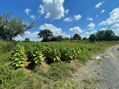 Terreno para venda no Imbuial em Mafra com 360m² por R$ 82.000,00