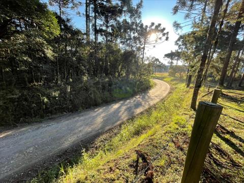 Terreno Rural para venda no Seminario em Rio Negro com 40.000m² por R$ 630.000,00