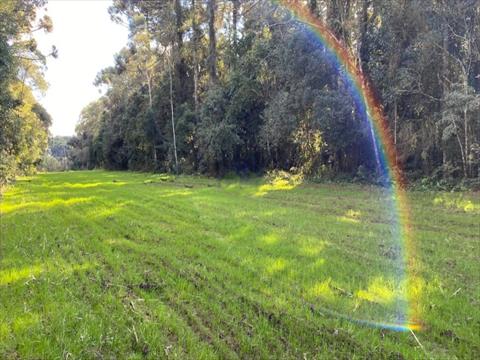 Terreno Rural para venda no Sitio dos Hirt em Rio Negro com 43.000m² por R$ 405.000,00