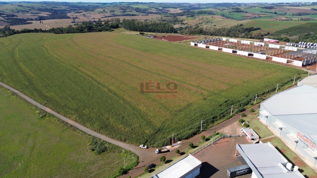 Sítio para venda no Vila Vitoria em Mandaguari com 216.000m² por R$ 14.000.000,00