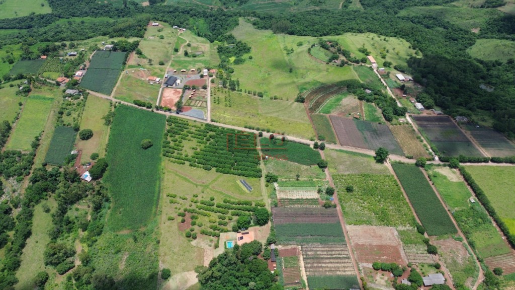 Chácara para venda no Zona Rural em Marialva com 145.200m² por R$ 2.250.000,00