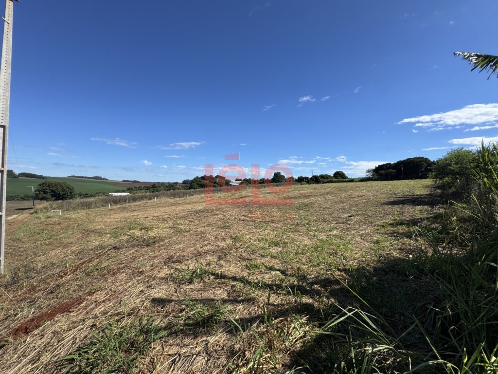 Terreno para venda no Rural em Marialva com 9.000m² por R$ 420.000,00