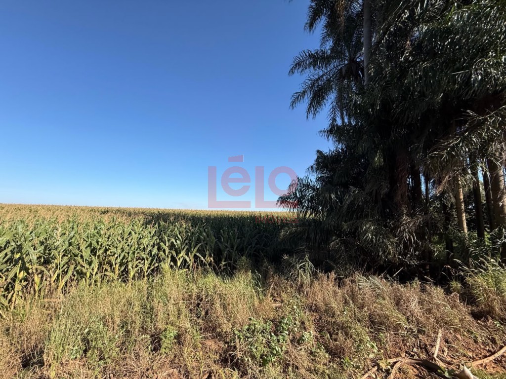 Sítio para venda no Vila Christino em Maringa com 190.000m² por R$ 12.350.000,00