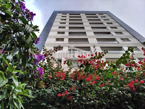 Apartamento para locacao no Vila Ipiranga em Londrina com 61m² por R$ 2000